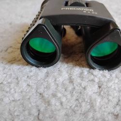 Steiner Predator 8x22 binoculars with case... very good condition