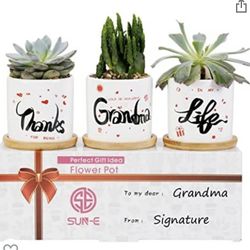 3pk Succulent Flower Pots Thanks for Being Such an Awesome Grandma in My Life