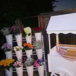 FLOWER STAND AND CANDY CART