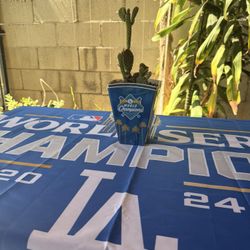 House Plant/ Cactus/ Decor