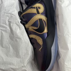 Kobe V