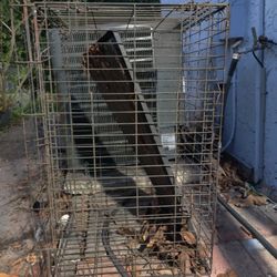 Large/Extra Large Dog Cage Or Animal Kennel