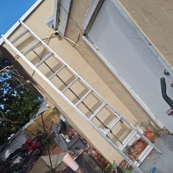 Werner Aluminum Ladder
