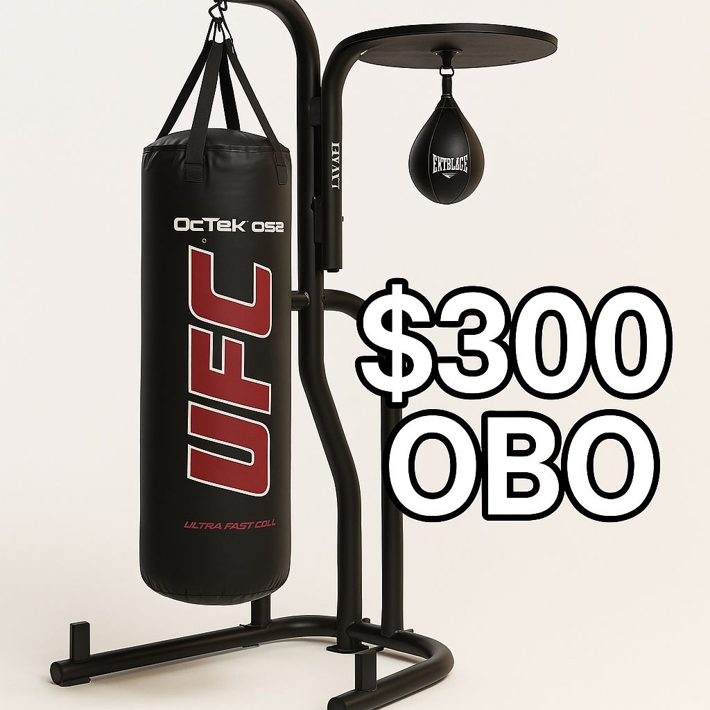 Everlast Punching Bag Stand w/ UFC 100lb Bag & Speed Bag - $300 OBO