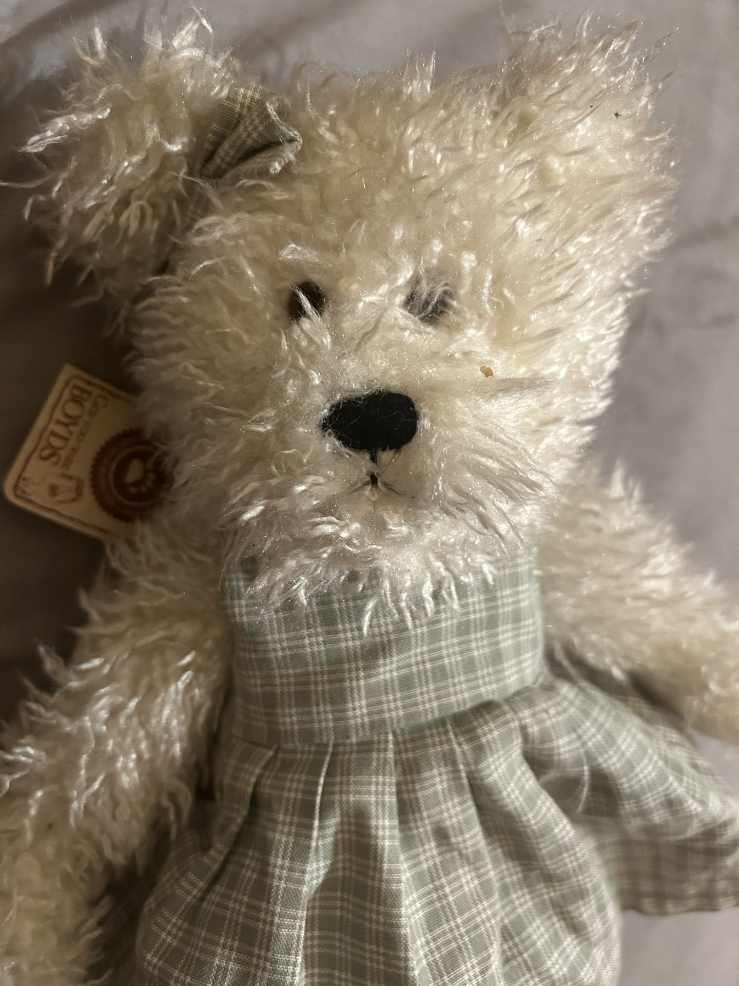 Boyd’s Bear