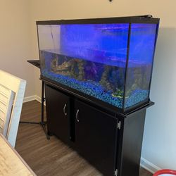 50 GALLON FISH TANK 