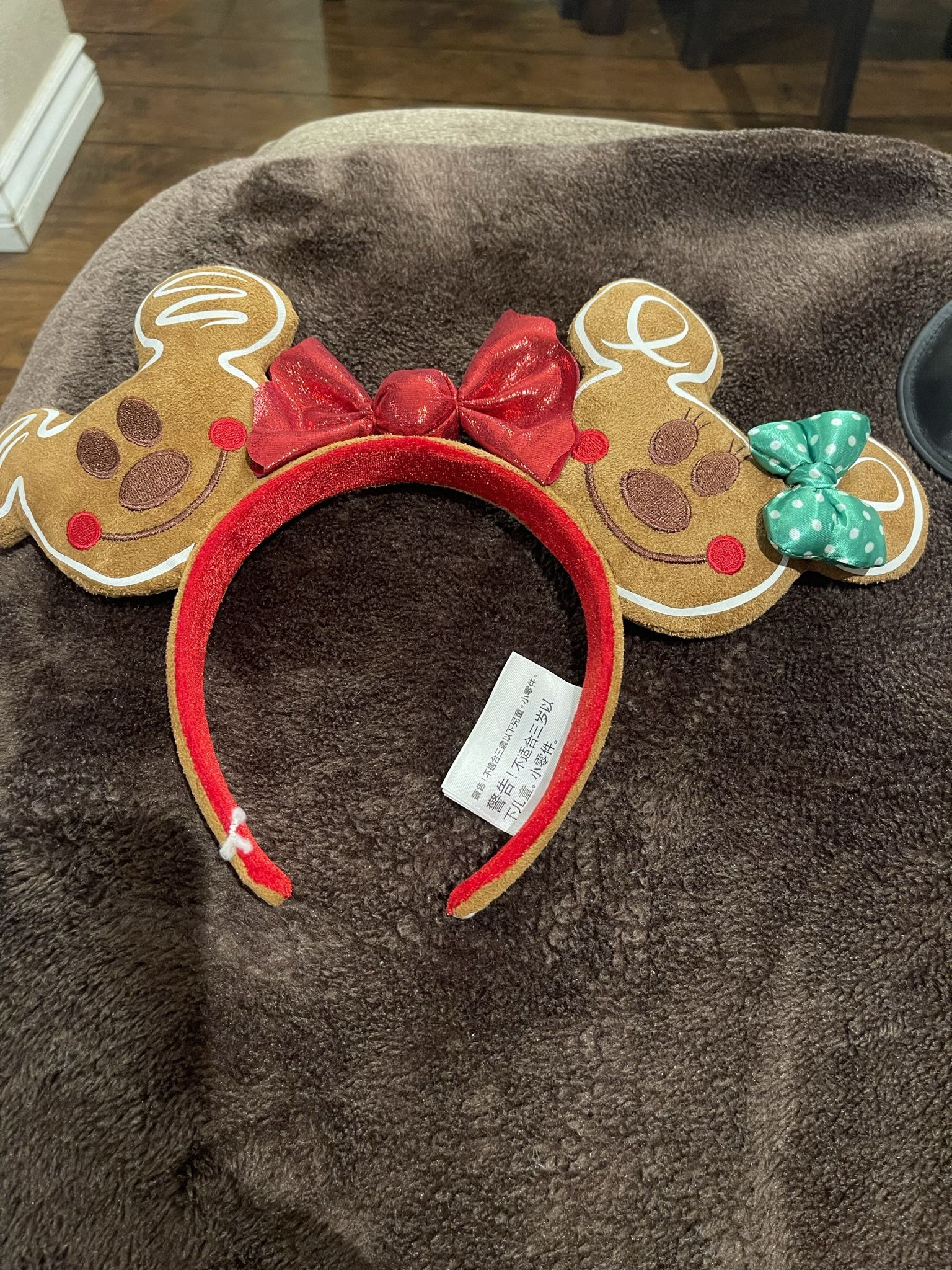 Disney Ears