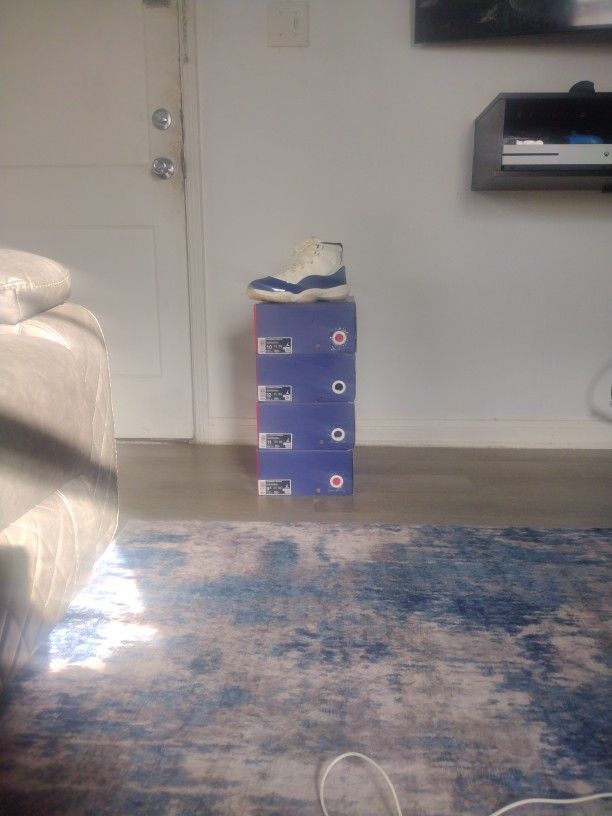 Jordan 11 Rare Air's