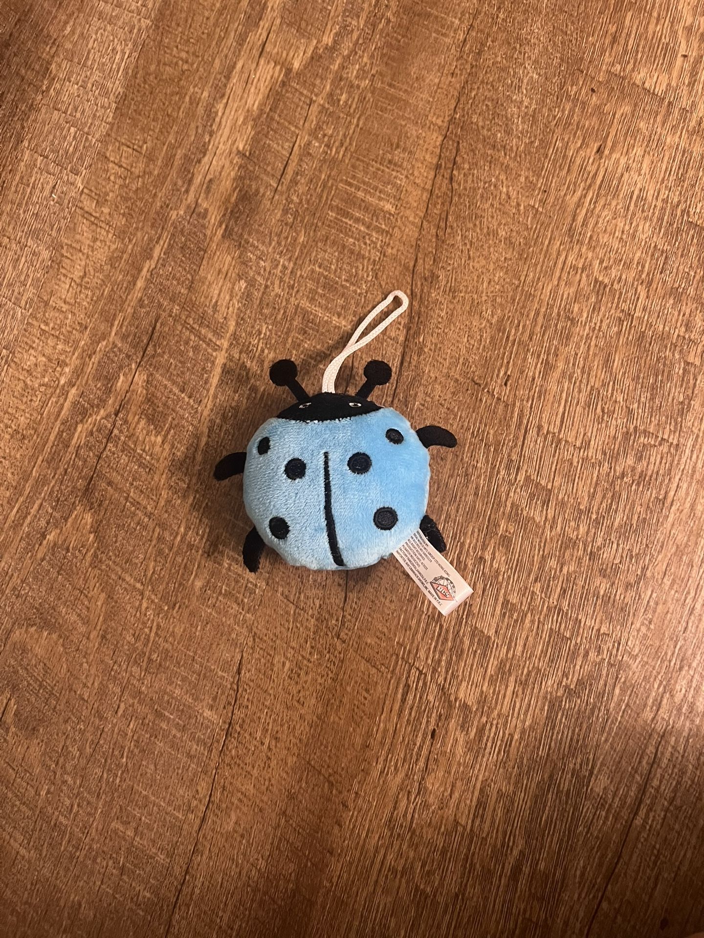 Blue Ladybug charm