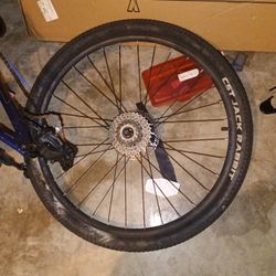 Bike Tire Cst Jack Rabbit 