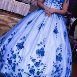 Quinceanera Dress 