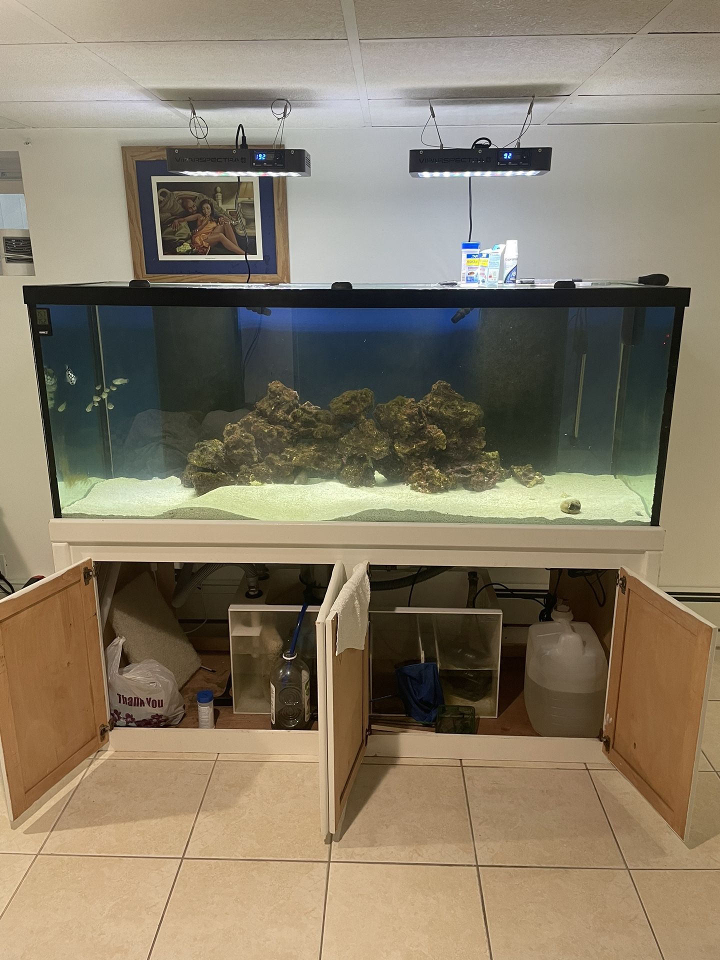 Fish Tank