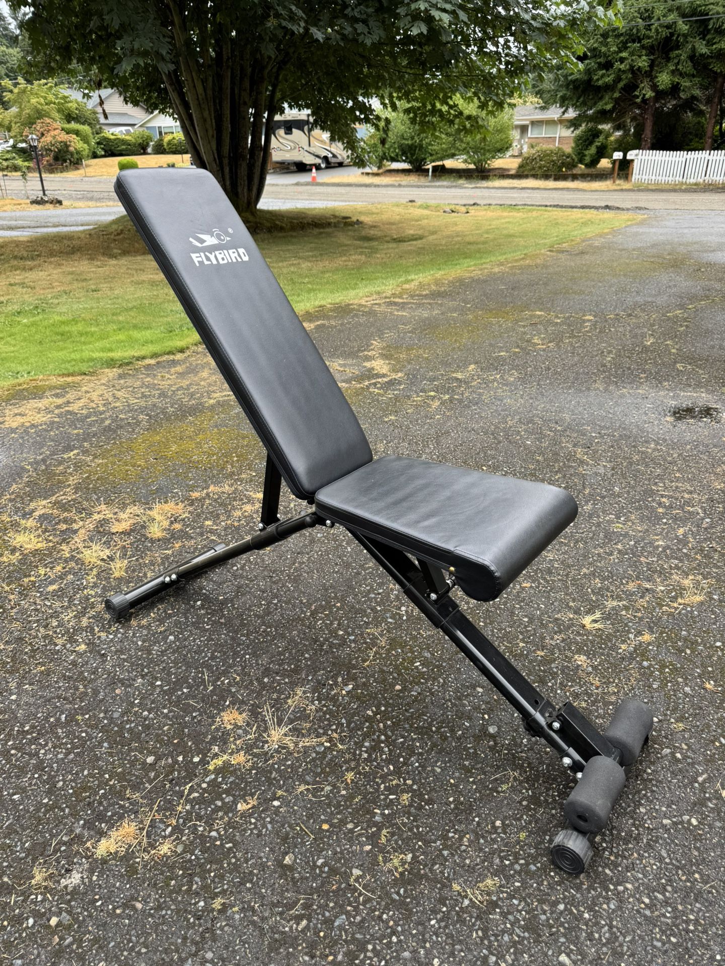 Flybird Weight Bench