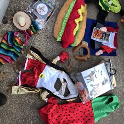 Small And Medium Dogs Costumes Only Five Dollars Each