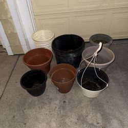 Flower Pots