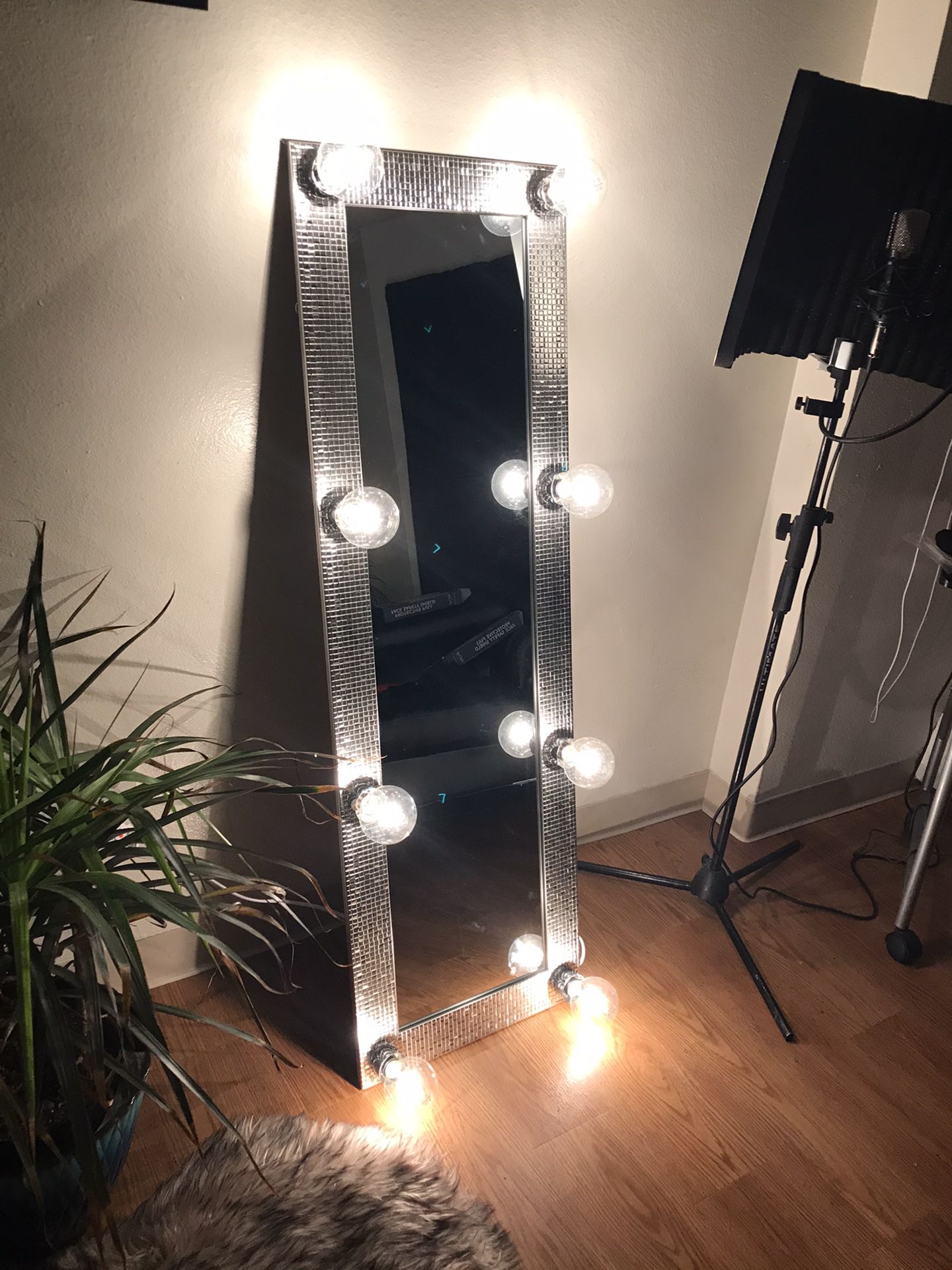 Full Body Vanity Mirror w/ Lights! (New)