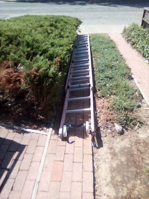 Ladder