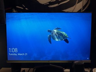 HP Monitor