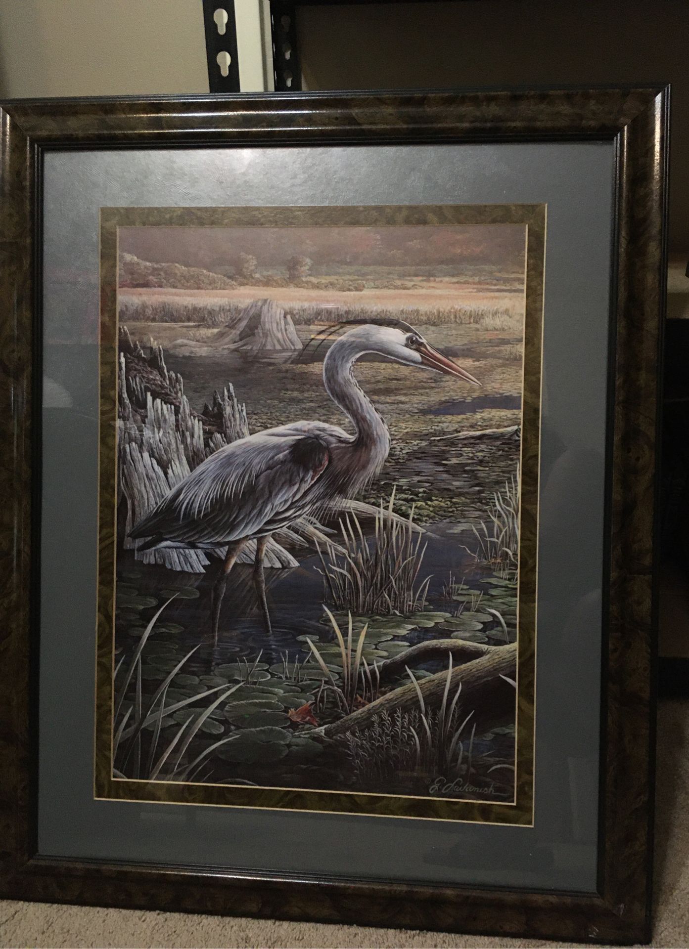 Framed print - Egret?