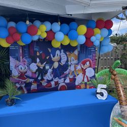 Sonic Birthday Party Decorations 