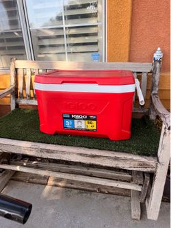 Igloo Profile I| 50 Qt Cooler
