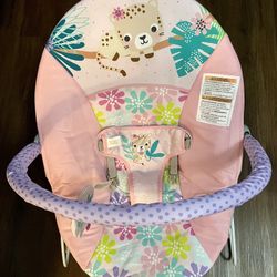 Baby Bouncer 
