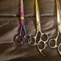 Aussie Shears  2 Pairs Of Straight Shears & 2 Pairs Of Curved Shears 
