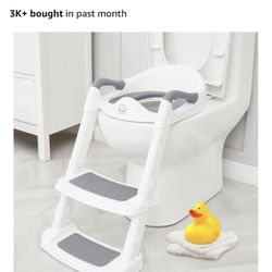 Toddler Potty Training Seat With Steps 