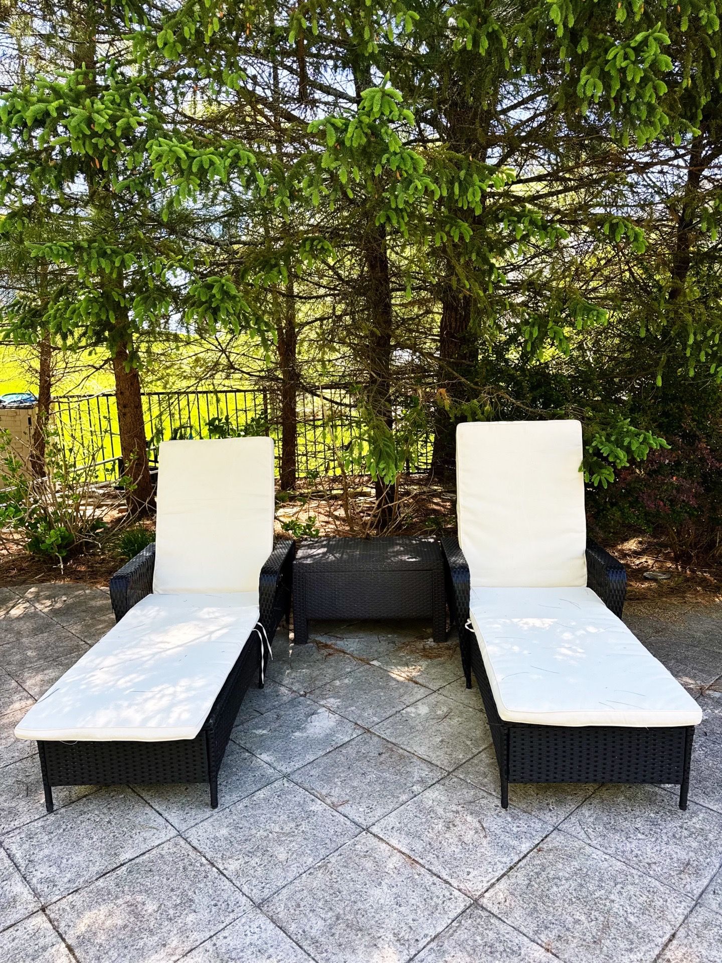 Outdoor chaise lounges set of 2