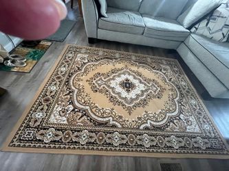 5 x 8 brown/gold area rug
