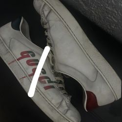 Gucci Ace Shoes 