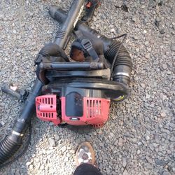 Backpack Leaf Blowers
