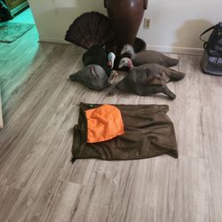 5 Turkey Decoys and Bag