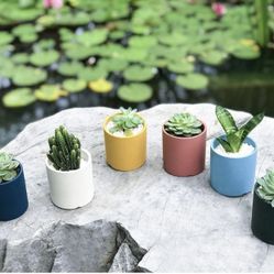 Ceramic Plant Succulent Pot 6-Pack