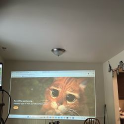 Movie Theater Projector