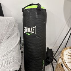Everlast Punching Bag