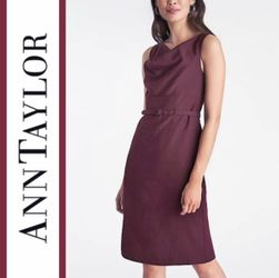 Ann Taylor | Cowl Neck Belted Sheath Dress