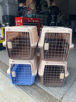 22X14X14 PLASTIC DOG CARRIERS $25 EACH