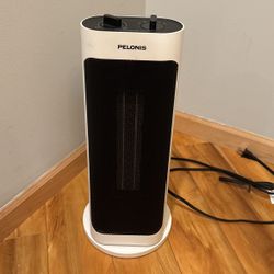Pelonis Oscillating Heating Fan