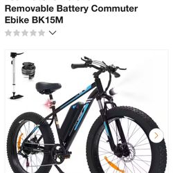 Electric Bike