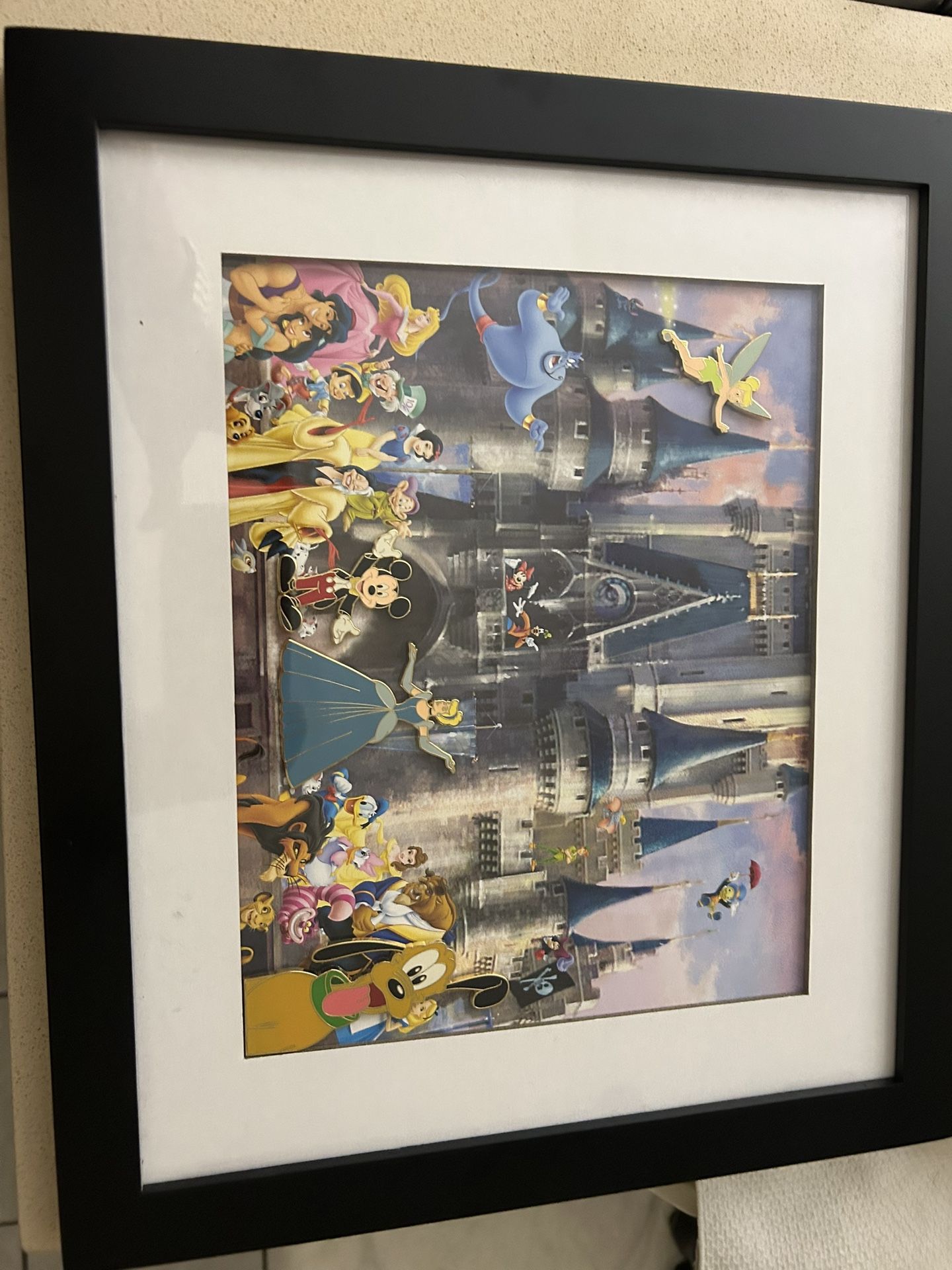 Disney Limited Edition Farm With Pins In It