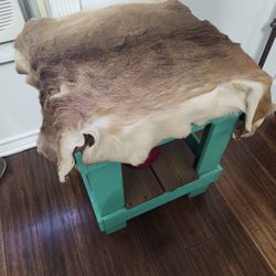 Deer  Skin And Table Nice For Man Cave 