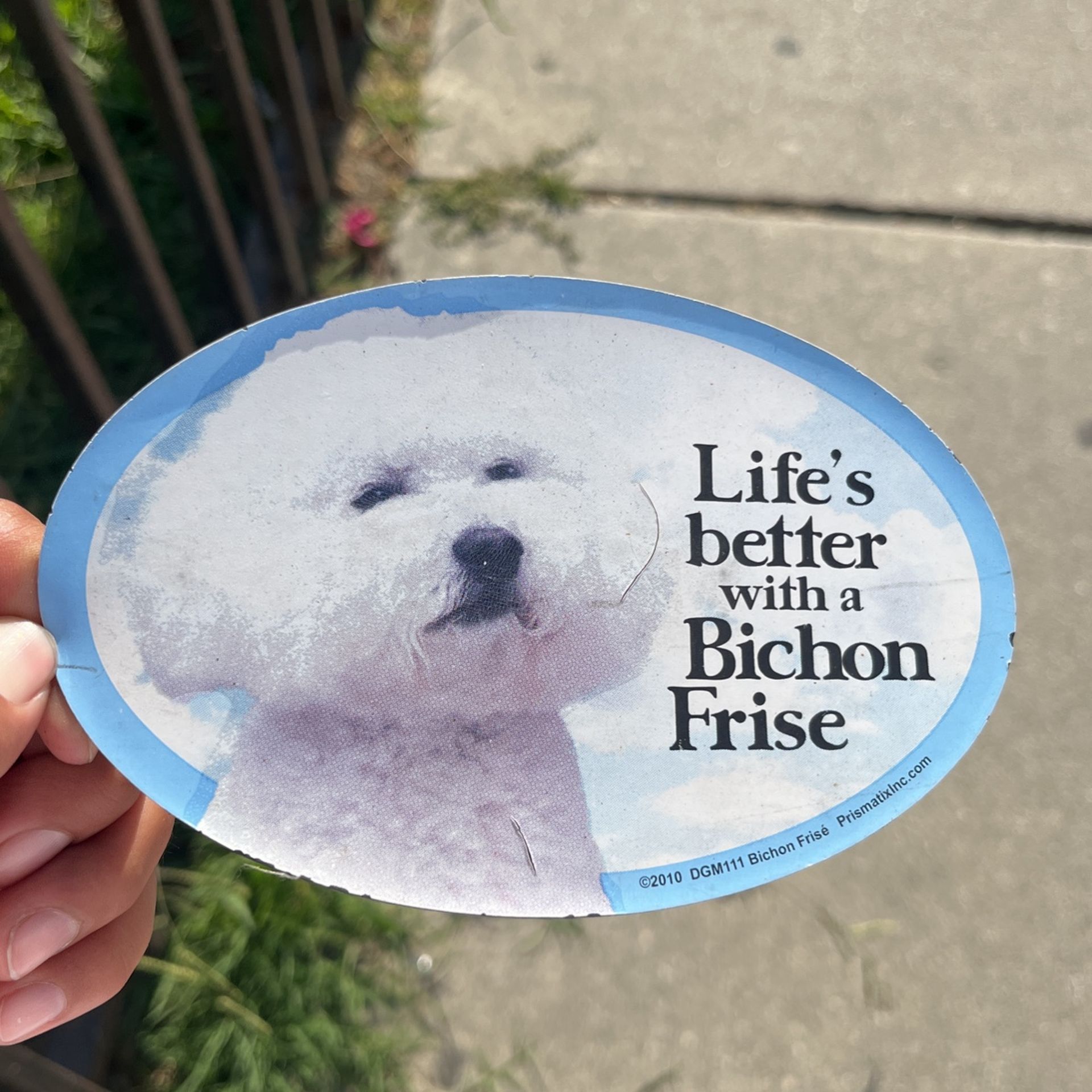 Dog Magnet For Car,fridge ,and Metal