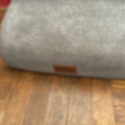 Brand New Pet Steps