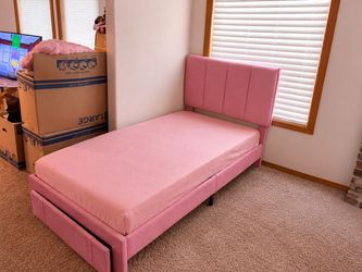 Pink twin b d