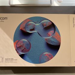 Wacom Intuous Pro (small)