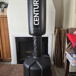 Freestanding Punching Bag