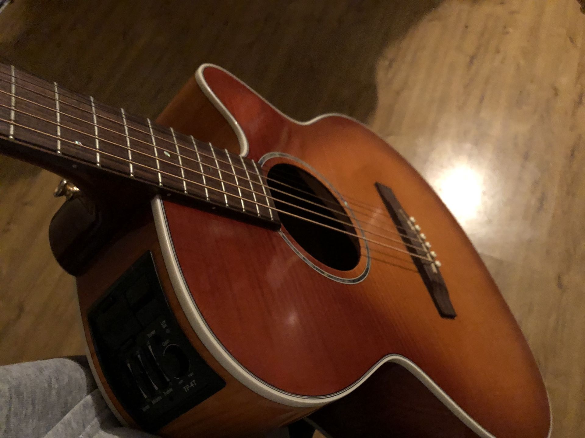 Takamine Electric and Acoustic Series with New Fender Bag
