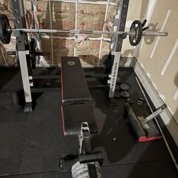 Weight Bench And Weights