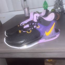 Lebron James Size 10 1/2